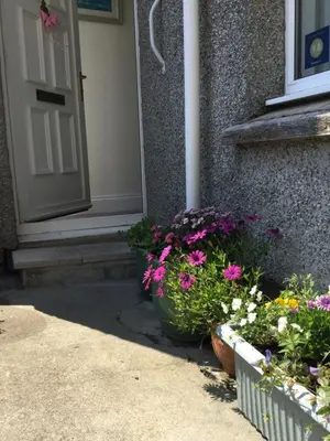 a bunch of flowers in front of a door at Penwyn Bed and Breakfast in Looe
