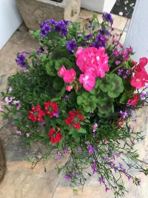 a bouquet of flowers in a pot on a table at Gwynarth Guest House in Wadebridge