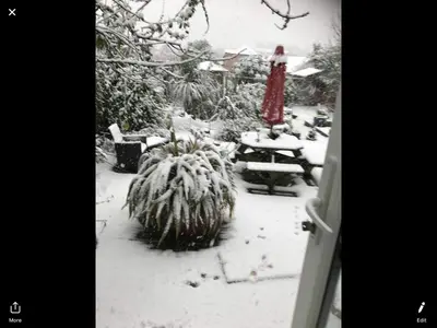 a garden covered in snow with a woman in a red dress at Gwynarth Guest House in Wadebridge