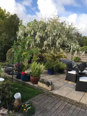 a garden with a tree with lots of plants at Gwynarth Guest House in Wadebridge
