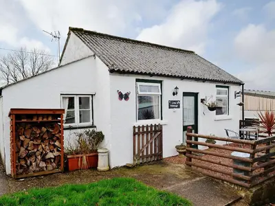 a white cottage with a wooden gate at Little Whiteleigh in Week Saint Mary