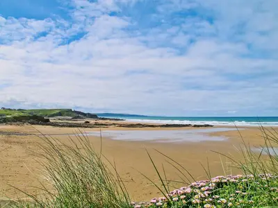 a sandy beach with pink flowers in the foreground at Little Whiteleigh in Week Saint Mary