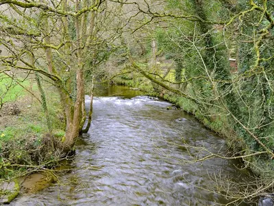 a stream of water with a tree in the middle at Chapel Barn in Bodmin