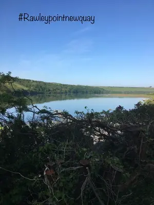 a view of a lake with trees in the foreground at Rawley point in Newquay