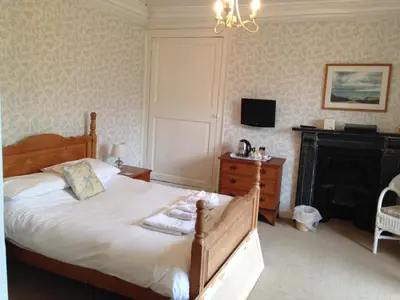 a bedroom with a bed with a fireplace and a television at SPRING GARDENS B&B in Wadebridge