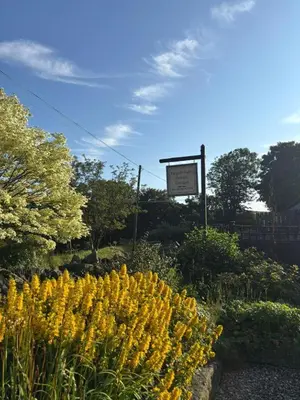 a bunch of yellow flowers in front of a sign at Tregolls Farm Cottages in Wadebridge
