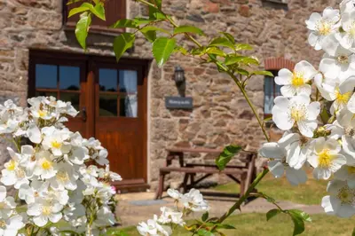 a building with a wooden door and some white flowers at Tregolls Farm Cottages in Wadebridge