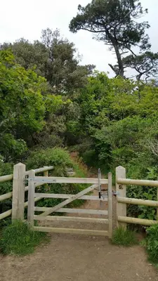a wooden fence with a gate on a dirt road at Mandeley Guest House in Helston