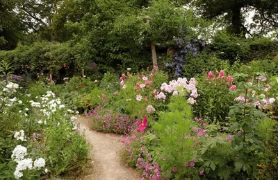a garden filled with lots of different colored flowers at Mews Cottage in Cury