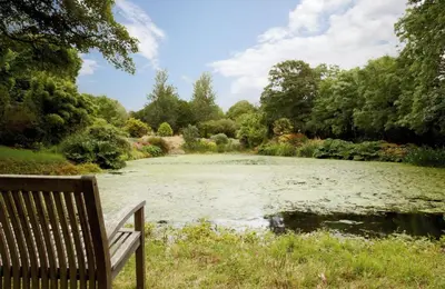 a bench sitting in front of a pond with lilies at St Corantyn Cottage in Helston