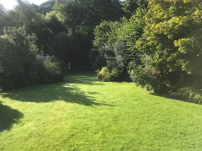 a large yard with green grass and trees at Glengarth in Penryn
