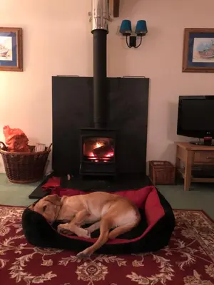 a dog laying in a dog bed in front of a fireplace at The Hayloft in Bude