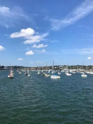 a large group of boats in the water at Endcliffe in Falmouth