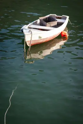 a small white boat sitting in the water at The Wellington Hotel in Boscastle