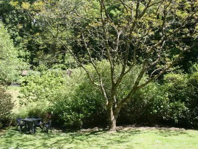 a picnic table and a tree in a park at Miller's House in Tintagel