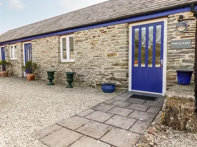 a brick house with a blue door and potted plants at Wheal Hart in Newlyn East