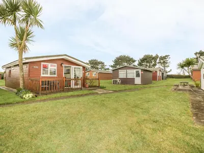 a house with a palm tree in a yard at Tiggy Winkle in St Merryn