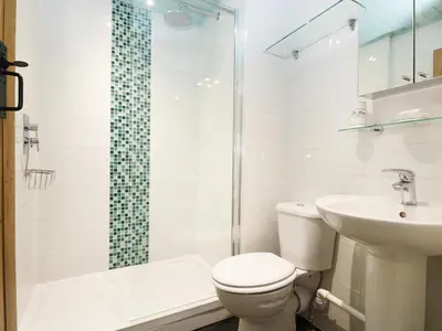 a bathroom with a toilet and a sink and a shower at 13 Castle Hill in Lostwithiel