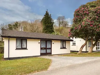 a white house with a tree in front of it at Chy Lowenna in Saint Cleer