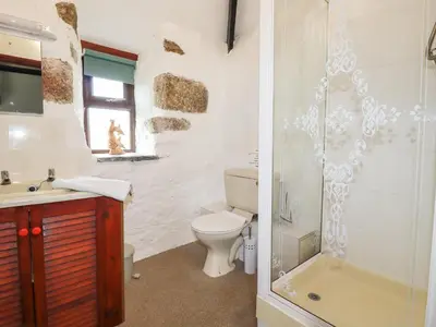 a bathroom with a toilet and a sink and a shower at Foxes in Lanivet