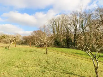 a field of grass with trees and a fence at Woodfield Coach House in Merrymeet