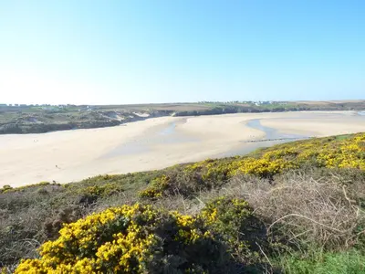 a view of a beach from a hill with yellow flowers at Fistral Breeze in Newquay