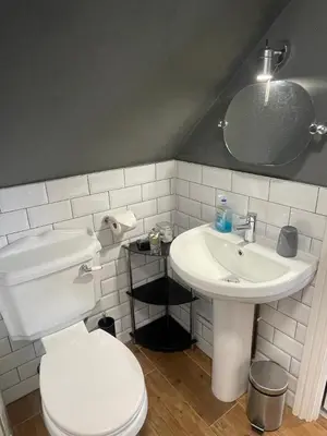 a bathroom with a white toilet and a sink at Skyline Guesthouse in Newquay