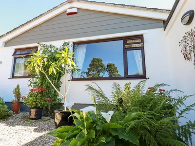 a house with plants in the front yard at Jenny Wren in Par