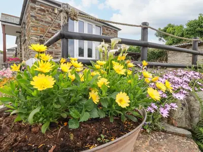 a flower bed of yellow flowers in front of a house at Sunset Cottage in Tintagel