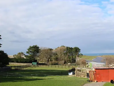 a grassy field with a fence and a field at Sunset Cottage in Tintagel