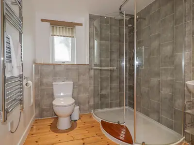 a bathroom with a toilet and a shower at Vine Cottage in Saint Ewe