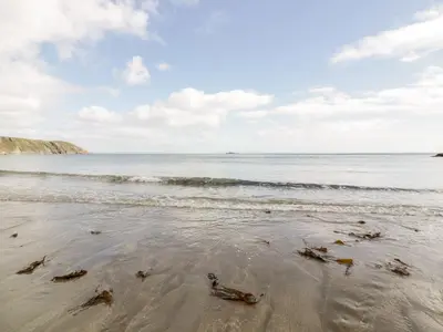a beach with a bunch of seaweed in the sand at Honeysuckle in Gorran Haven