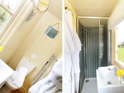 a bathroom with a shower and a sink and a toilet at Willow in Wadebridge