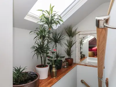 a bathroom with plants on a shelf and a mirror at The Snug in Grampound