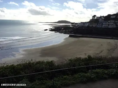 a view of a beach with houses and the ocean at Sand Martin in Looe