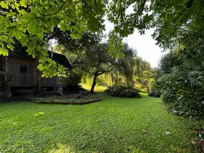 a yard with a house and a tree at St Kew Escapes Nr Port Isaac in Saint Kew