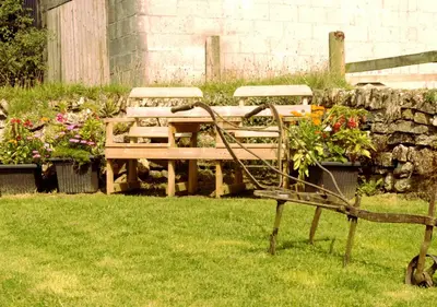 a bench sitting in the grass next to a table with flowers at Old Newham Farm in Camelford