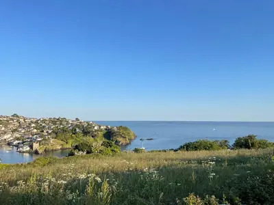 a view of the ocean from a hill with flowers at Fowey River Views in Fowey
