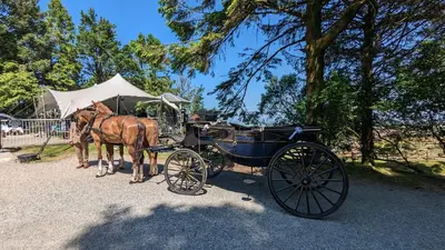 a horse drawn carriage parked on a street at Wheal Tor Hotel & Glamping in Liskeard