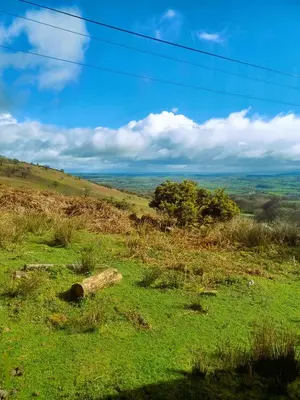 a grassy hill with a tree on top of it at Wheal Tor Hotel & Glamping in Liskeard