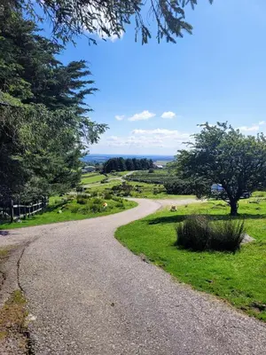 a gravel road leading into a field with trees at Wheal Tor Hotel & Glamping in Liskeard
