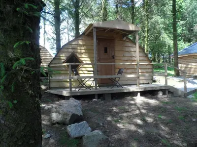 a wooden cabin in the woods with a bench in front at Wheal Tor Hotel & Glamping in Liskeard
