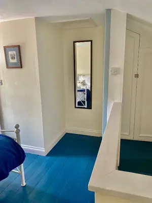 a room with a blue floor and a mirror at Froglets in Tregoney
