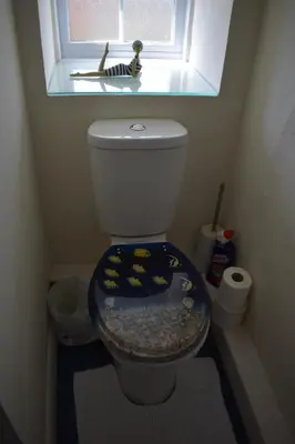a bathroom with a toilet with a fishtank in the window at Froglets in Tregoney