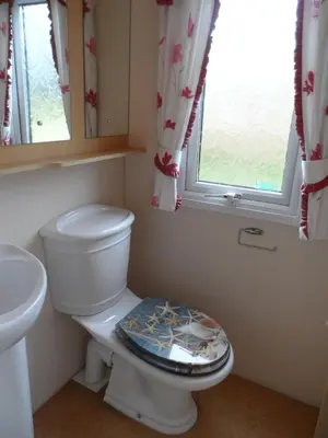 a bathroom with a white toilet and a window at Peace and quiet in countryside location near Perranporth in Perranzabuloe