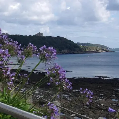 a view of the ocean with purple flowers at Falmouth Bay in Falmouth