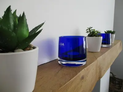 a blue glass sitting on a wooden shelf with potted plants at Falmouth Bay in Falmouth