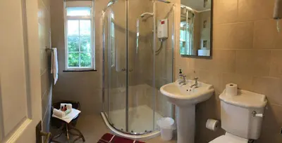a bathroom with a shower and a sink and a toilet at Camellia Chalet in Germoe
