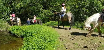 a group of people riding horses near a river at Peacock Lodge - Sleeps 4 - 2 Bedrooms in East Looe