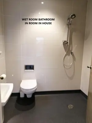a bathroom with a toilet and a shower and a sink at Boleyn house in Bodmin